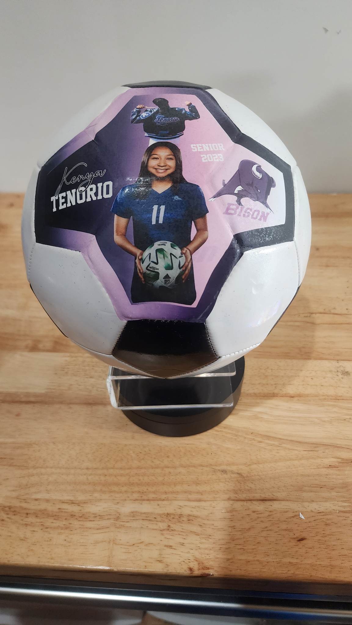 Custom Soccer Ball/Volleyball